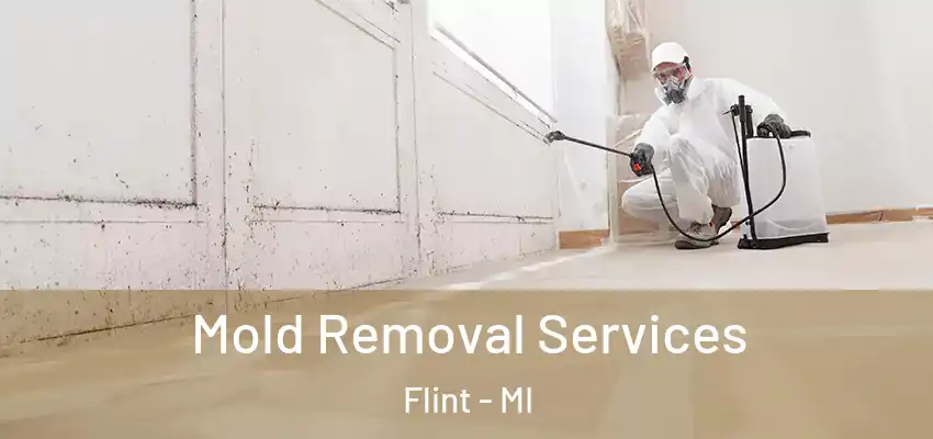  Mold Removal Services Flint - MI