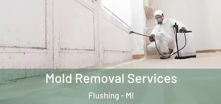  Mold Removal Services Flushing - MI