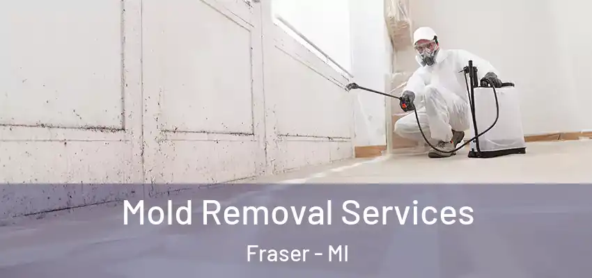  Mold Removal Services Fraser - MI