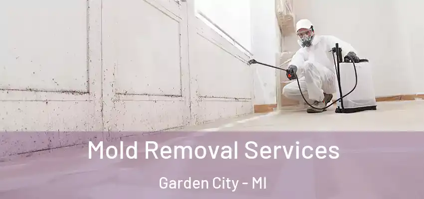  Mold Removal Services Garden City - MI