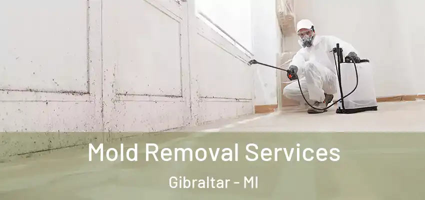  Mold Removal Services Gibraltar - MI