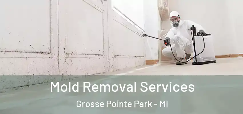  Mold Removal Services Grosse Pointe Park - MI