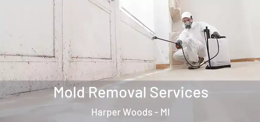  Mold Removal Services Harper Woods - MI