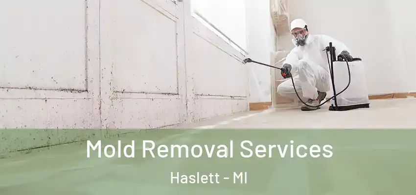  Mold Removal Services Haslett - MI