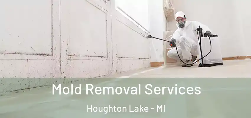  Mold Removal Services Houghton Lake - MI