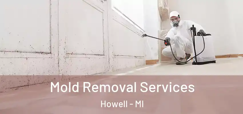  Mold Removal Services Howell - MI