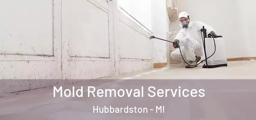  Mold Removal Services Hubbardston - MI