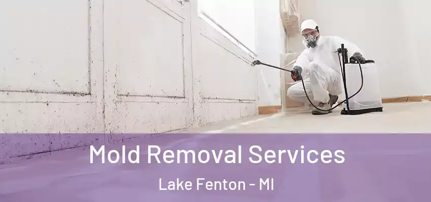  Mold Removal Services Lake Fenton - MI