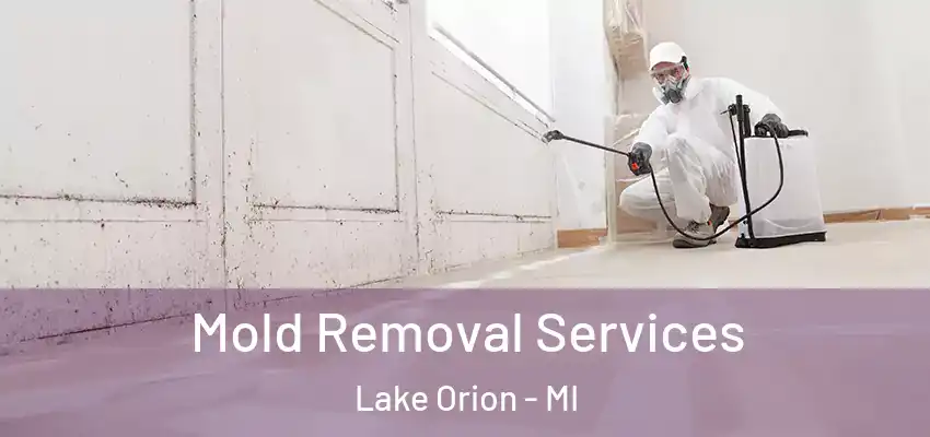  Mold Removal Services Lake Orion - MI