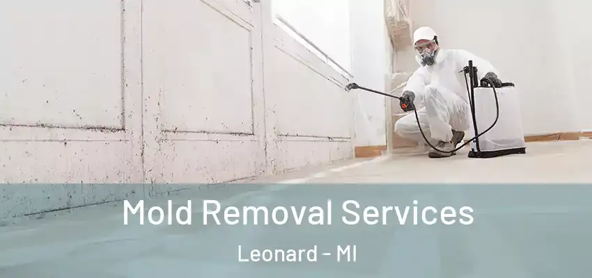  Mold Removal Services Leonard - MI