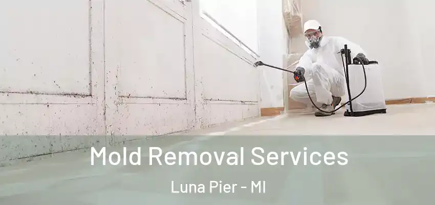  Mold Removal Services Luna Pier - MI