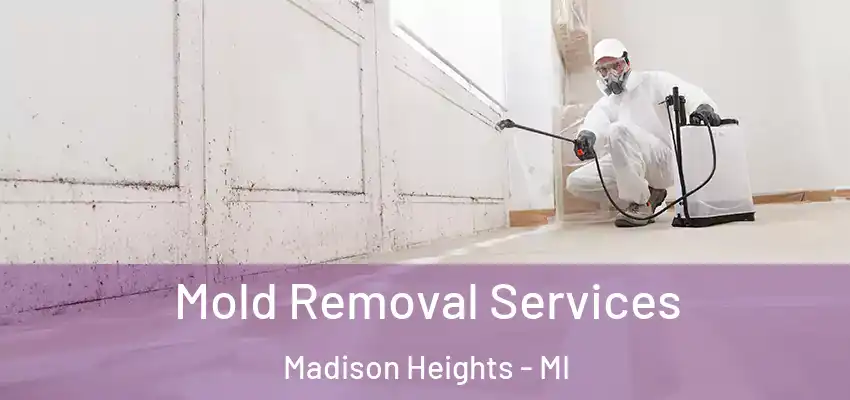  Mold Removal Services Madison Heights - MI