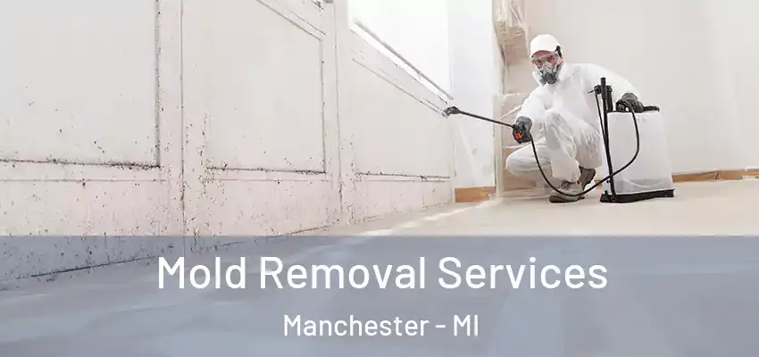  Mold Removal Services Manchester - MI