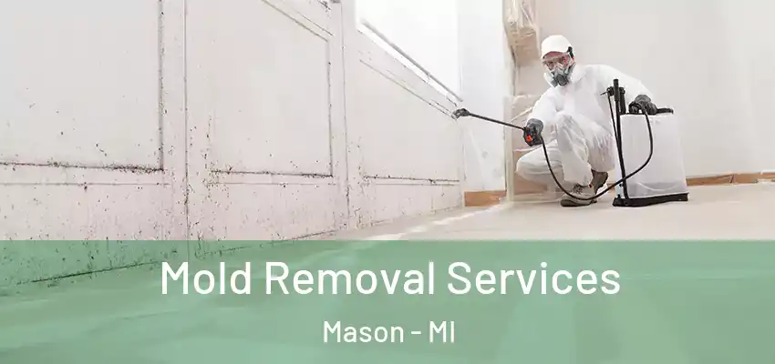  Mold Removal Services Mason - MI