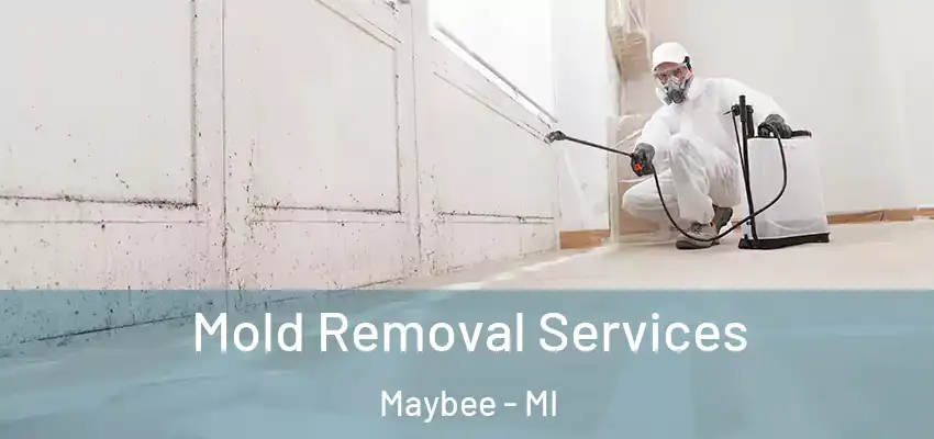  Mold Removal Services Maybee - MI