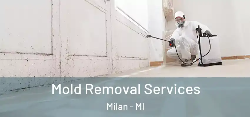 Mold Removal Services Milan - MI