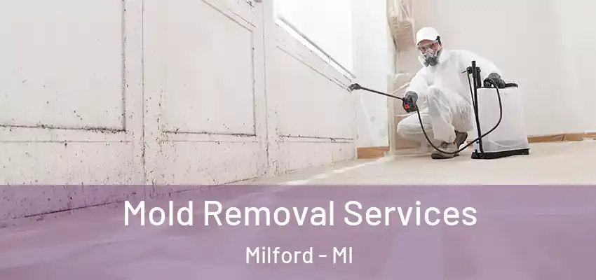  Mold Removal Services Milford - MI