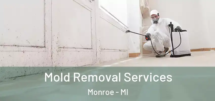  Mold Removal Services Monroe - MI