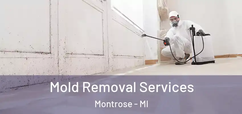  Mold Removal Services Montrose - MI