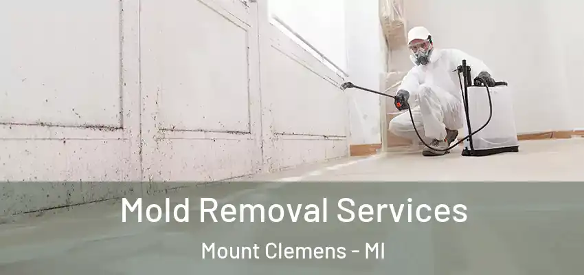  Mold Removal Services Mount Clemens - MI