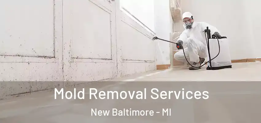  Mold Removal Services New Baltimore - MI