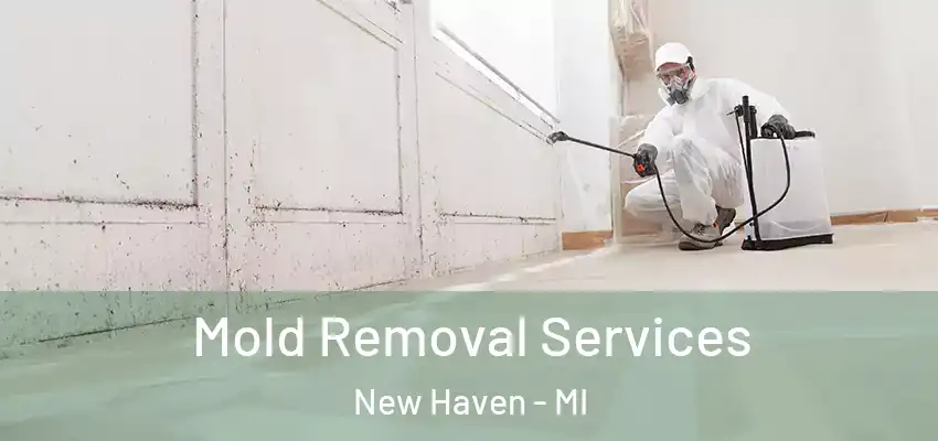  Mold Removal Services New Haven - MI
