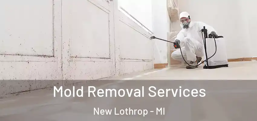  Mold Removal Services New Lothrop - MI