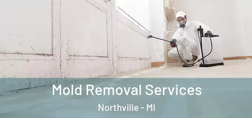  Mold Removal Services Northville - MI