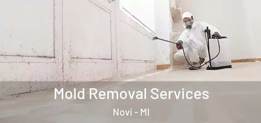  Mold Removal Services Novi - MI
