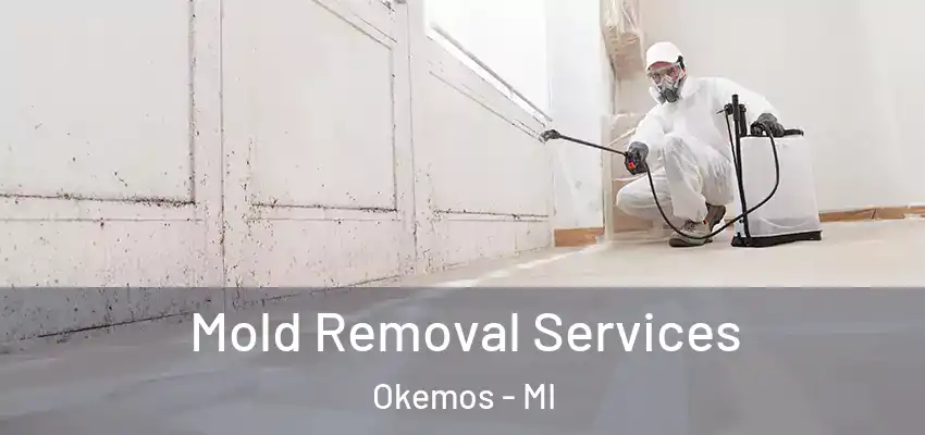  Mold Removal Services Okemos - MI