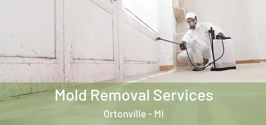  Mold Removal Services Ortonville - MI