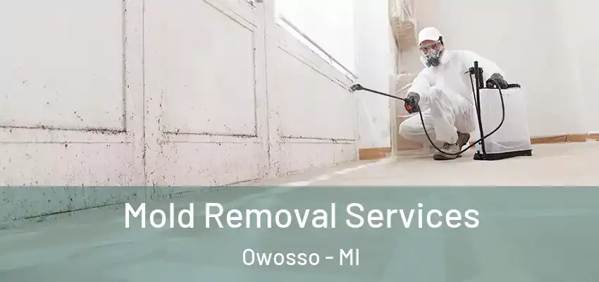  Mold Removal Services Owosso - MI