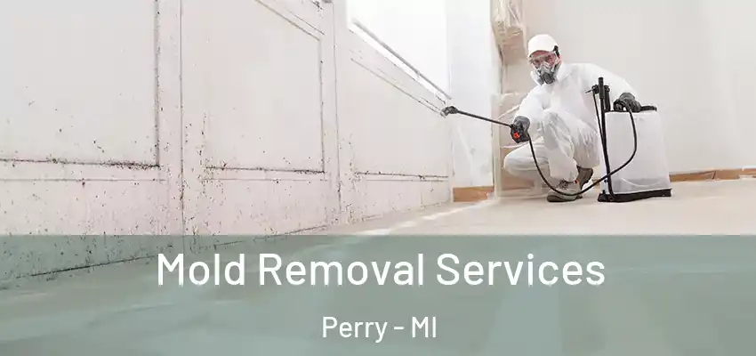  Mold Removal Services Perry - MI