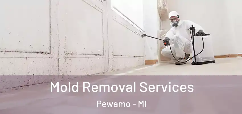  Mold Removal Services Pewamo - MI