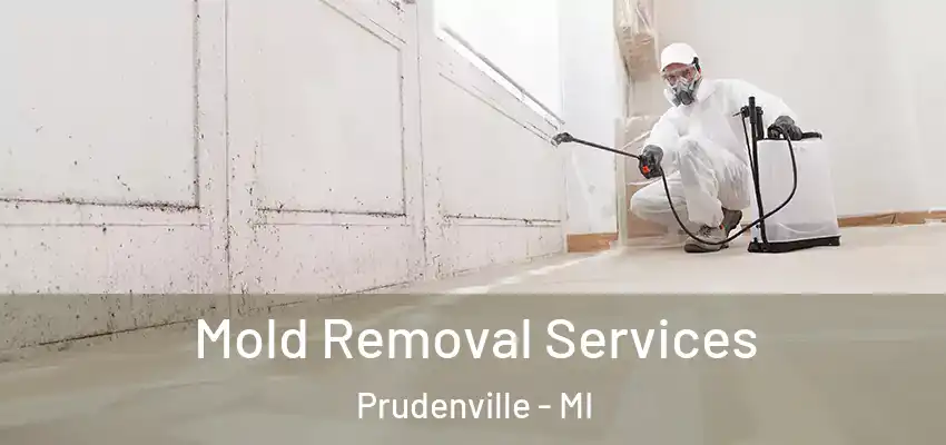  Mold Removal Services Prudenville - MI