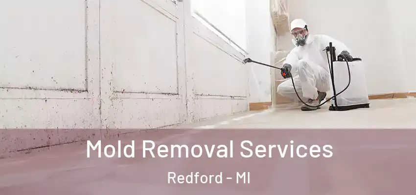 Mold Removal Services Redford - MI