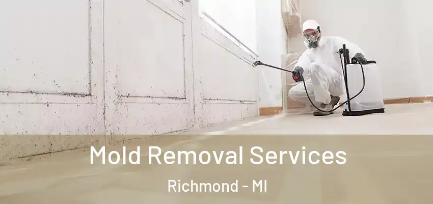  Mold Removal Services Richmond - MI