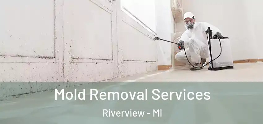 Mold Removal Services Riverview - MI