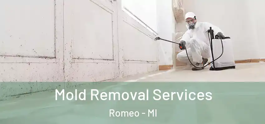 Mold Removal Services Romeo - MI