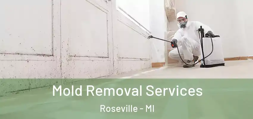  Mold Removal Services Roseville - MI