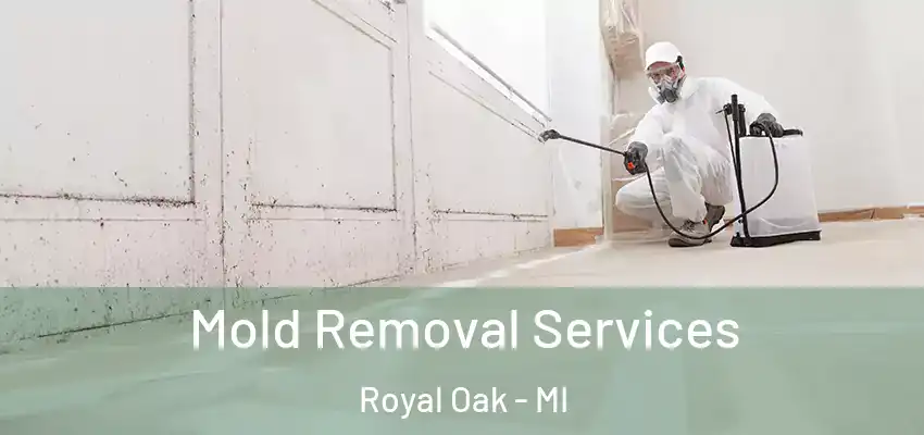  Mold Removal Services Royal Oak - MI