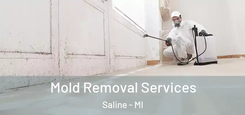  Mold Removal Services Saline - MI