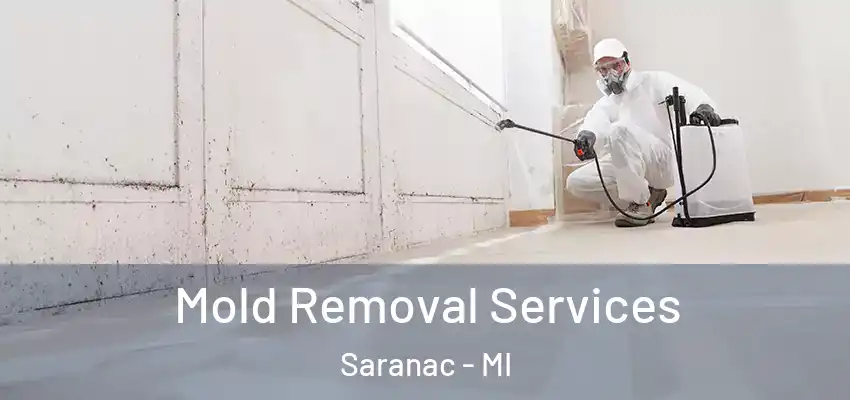  Mold Removal Services Saranac - MI