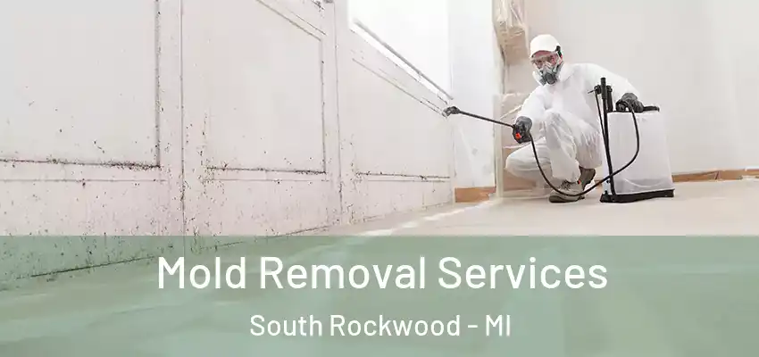  Mold Removal Services South Rockwood - MI