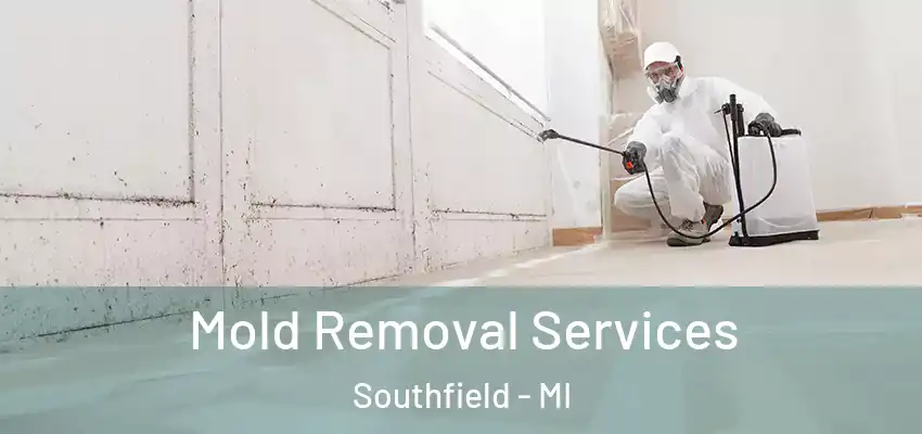  Mold Removal Services Southfield - MI