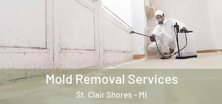Mold Removal Services St. Clair Shores - MI