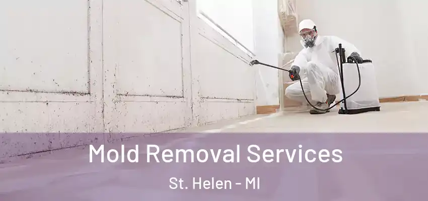  Mold Removal Services St. Helen - MI