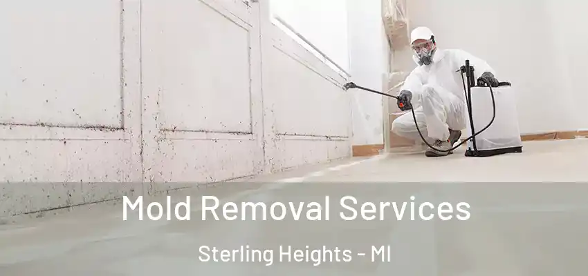  Mold Removal Services Sterling Heights - MI