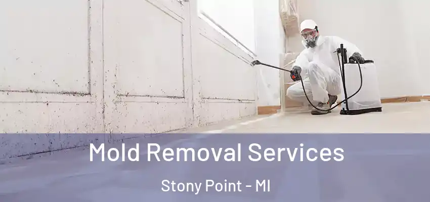  Mold Removal Services Stony Point - MI