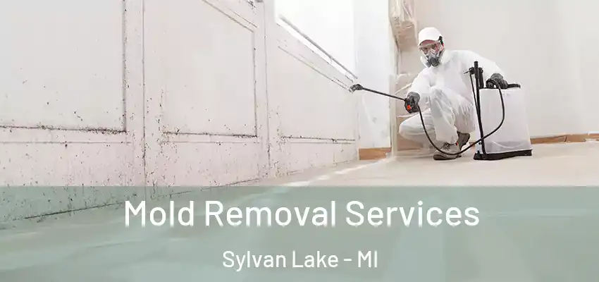  Mold Removal Services Sylvan Lake - MI